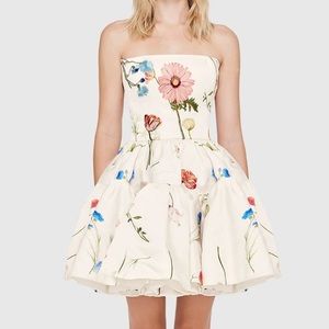 Leo Lin The Fields Embroidered Bustier Mini Dress